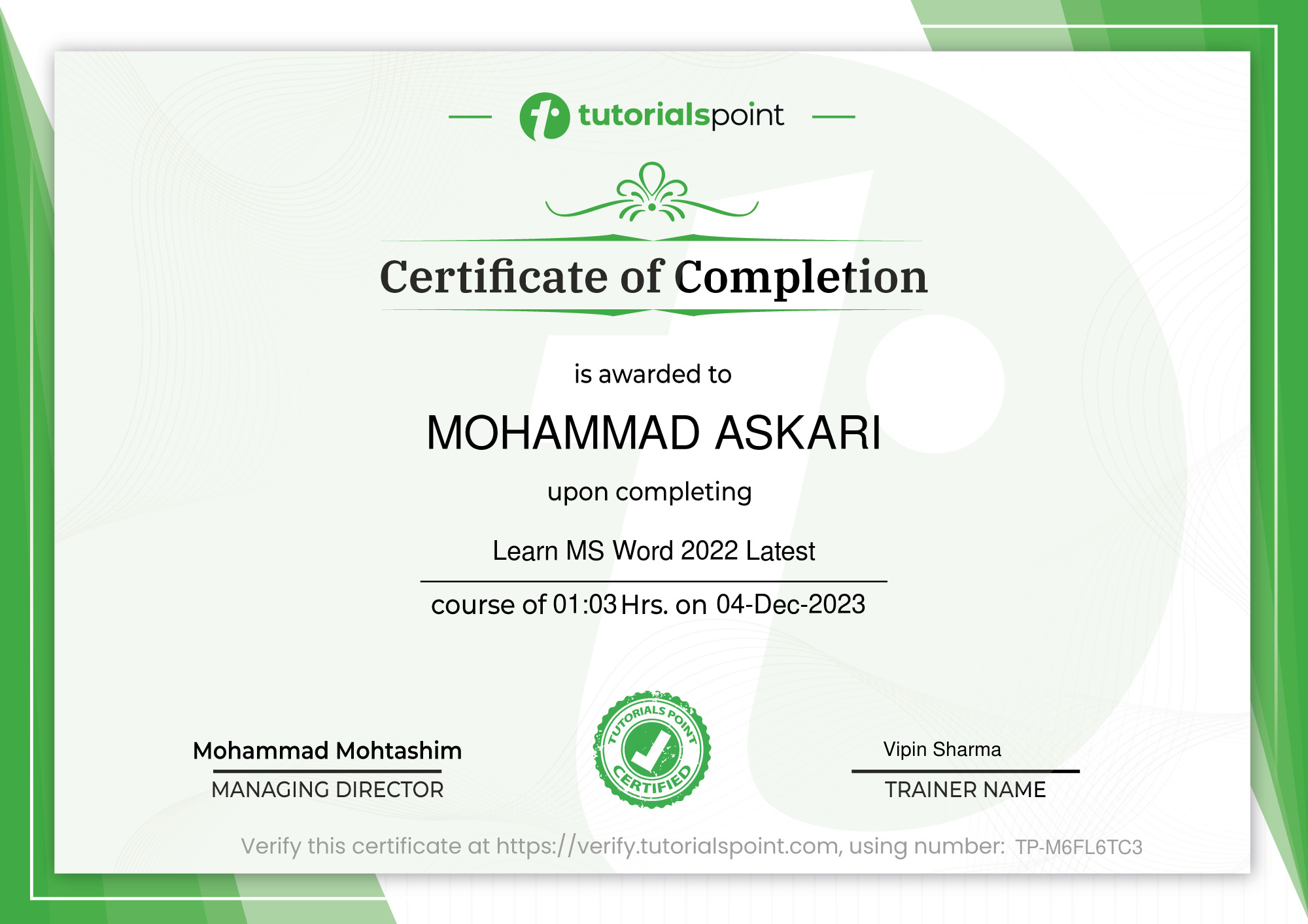MS Word Beginner to Advanced