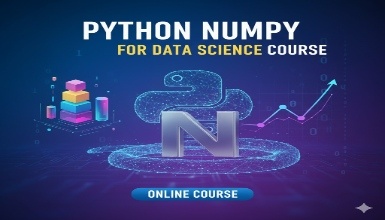 Python Numpy for Data science Course