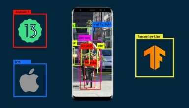 Train Custom Object Detection Models for Android & IOS