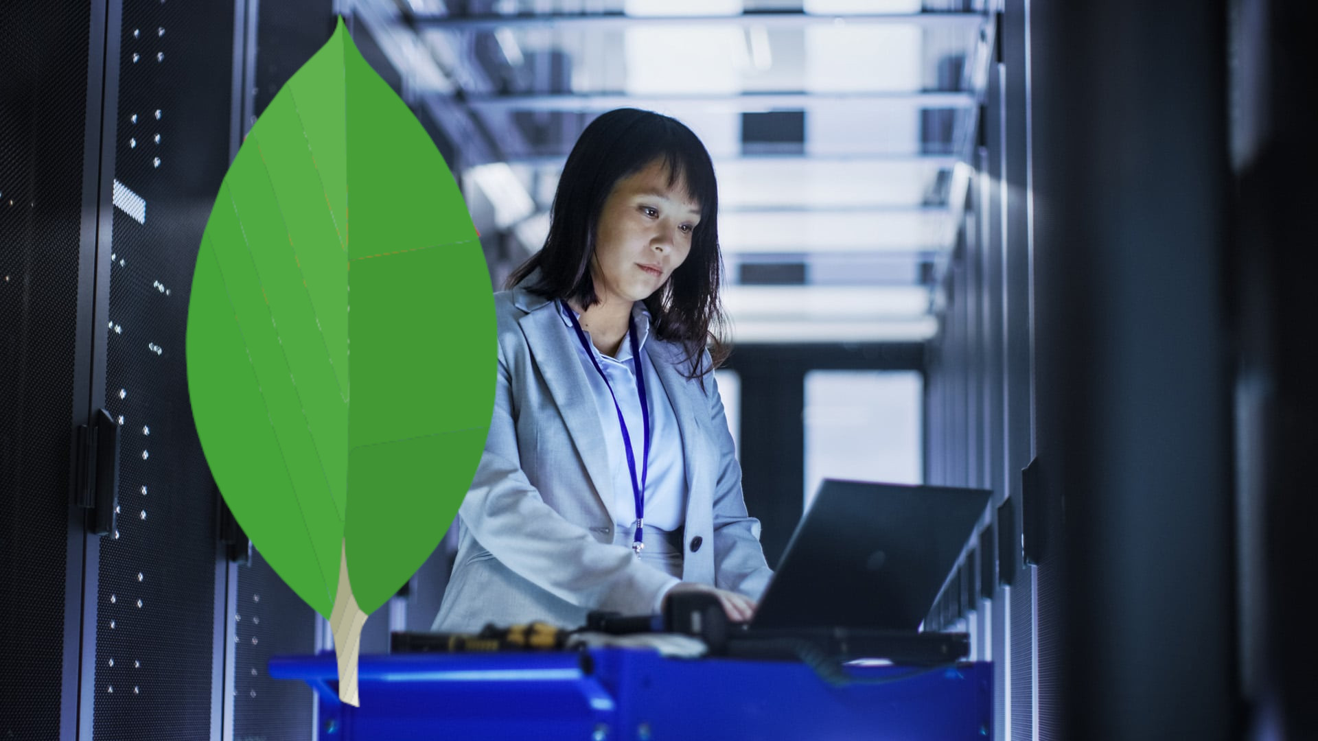 The Complete Dummies Guide for MongoDB and NoSQL Databases The Complete Dummies Guide for MongoDB and NoSQL Databases