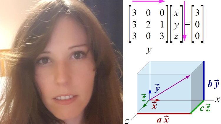 Algebra (vectors and matrices) in Mathematics