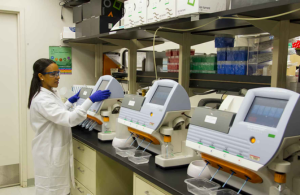 Medical Laboratory Technician Medical Laboratory Technician