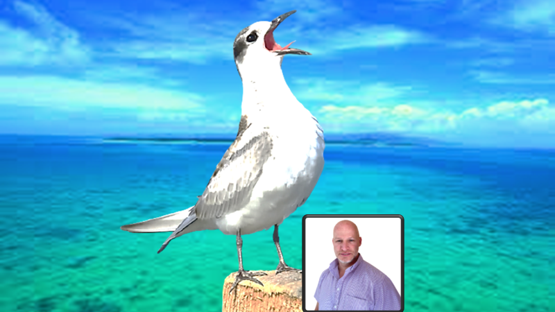 Assertiveness Masterclass: Empower Yourself Assertiveness Masterclass: Empower Yourself