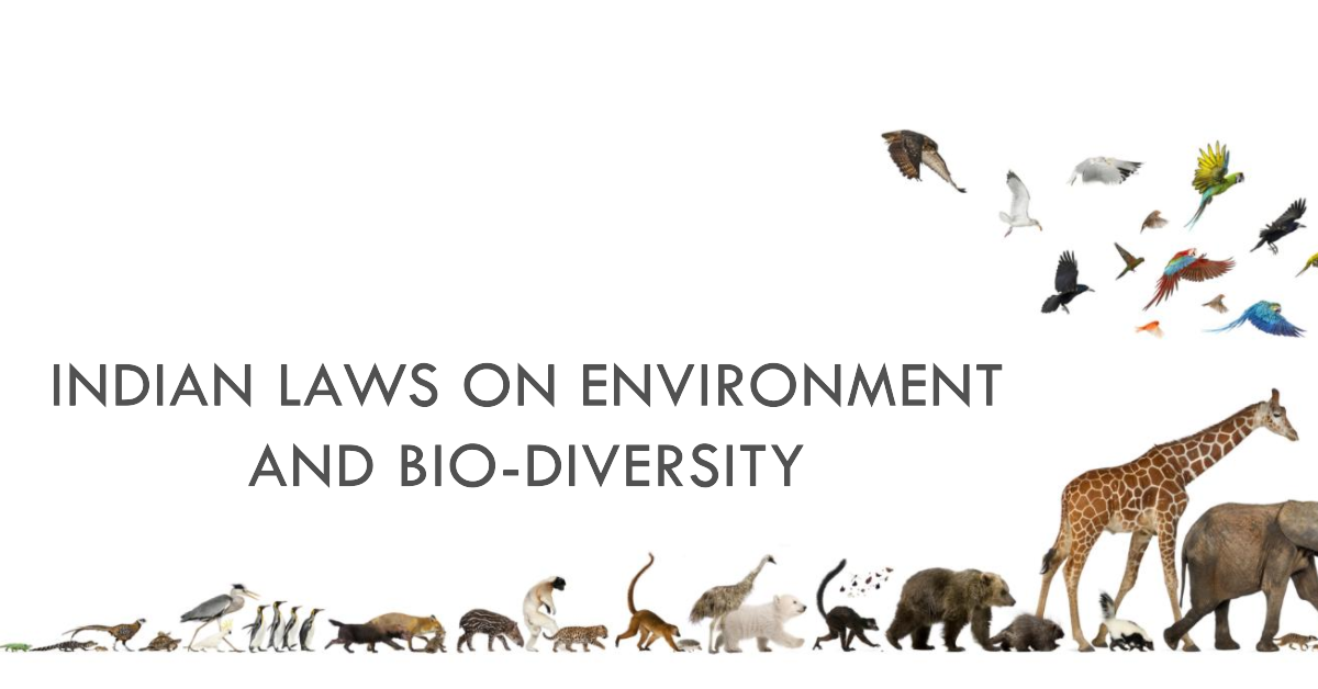 Indian Laws on Environment and Bio-Diversity Indian Laws on Environment and Bio-Diversity