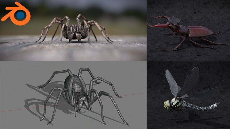 Blender 2.81 - Création d'insectes et araignées Blender 2.81 - Création d'insectes et araignées