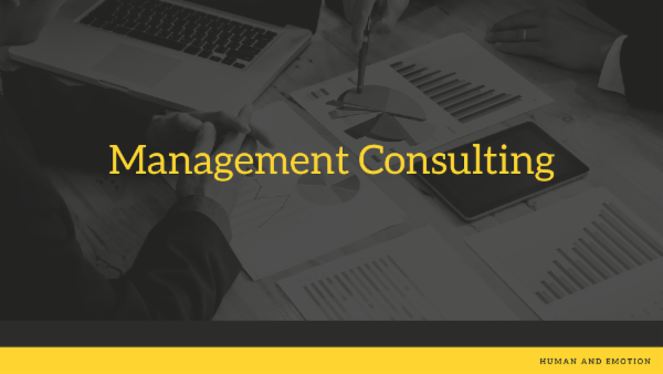 Management Consulting Course Management Consulting Course