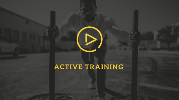 Active Training Process and Execution Active Training Process and Execution