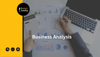 Certification in Business Analysis for MBA or PGDM