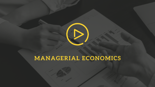 Managerial  Economics Managerial  Economics