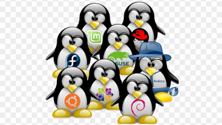 Curso de Linux: Preparación LPIC-1 Curso de Linux: Preparación LPIC-1