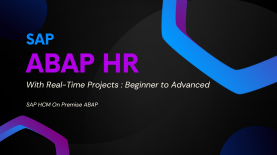 SAP ABAP HR: Real time Project Scenarios - Beginner to Advanced SAP ABAP HR: Real time Project Scenarios - Beginner to Advanced
