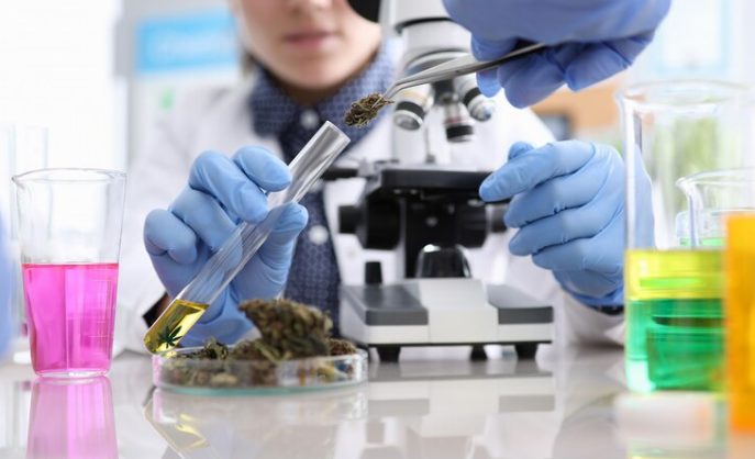 Animal Science Course: Comprehensive Study in Animal Biology and Care Animal Science Course: Comprehensive Study in Animal Biology and Care