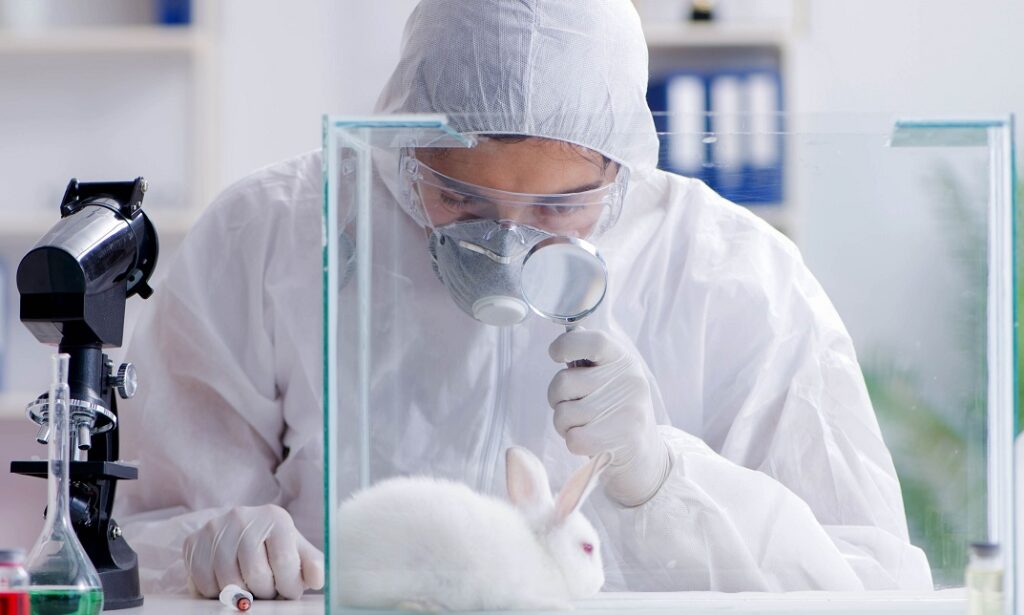 Zoology Course – Uncover the Secrets of Animal Life and Behaviour Zoology Course – Uncover the Secrets of Animal Life and Behaviour