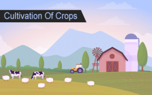 A Complete Guide to Cultivation of Crops A Complete Guide to Cultivation of Crops