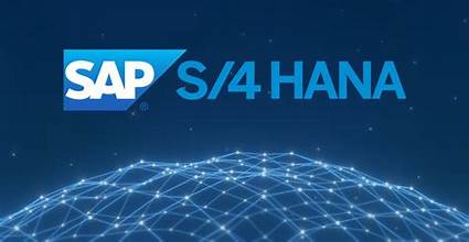 S4 HANA Configurable Parameters & Formulas- Flexi Number Range in Sales order S4 HANA Configurable Parameters & Formulas- Flexi Number Range in Sales order