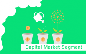 Capital Market Segment: Online Course Capital Market Segment: Online Course