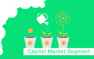 Capital Market Segment