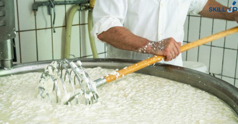Cheese Making Course Cheese Making Course