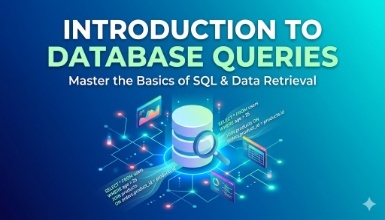 Introduction to Database Queries