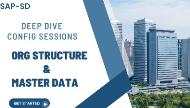 SAP SD - Deep Dive Config Sessions-Org Structure & Master Data
