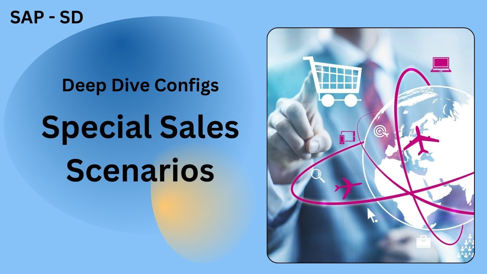 SAP SD Special Sales Processes SAP SD Special Sales Processes