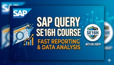 SAP Query using SE16H Course