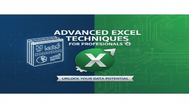 Advanced Excel Techniques for Professionals