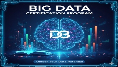 Big Data Certification Program