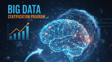 Big Data Certification Program
