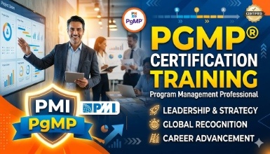 PMI PgMP Training Program Management Professional