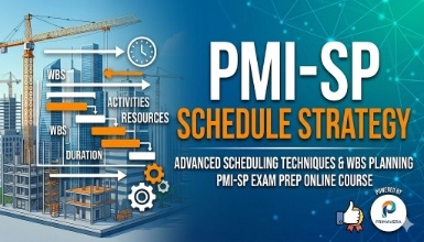 PMI-SP - Schedule Strategy