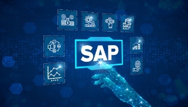 Curso Introducción Al Sistema SAP