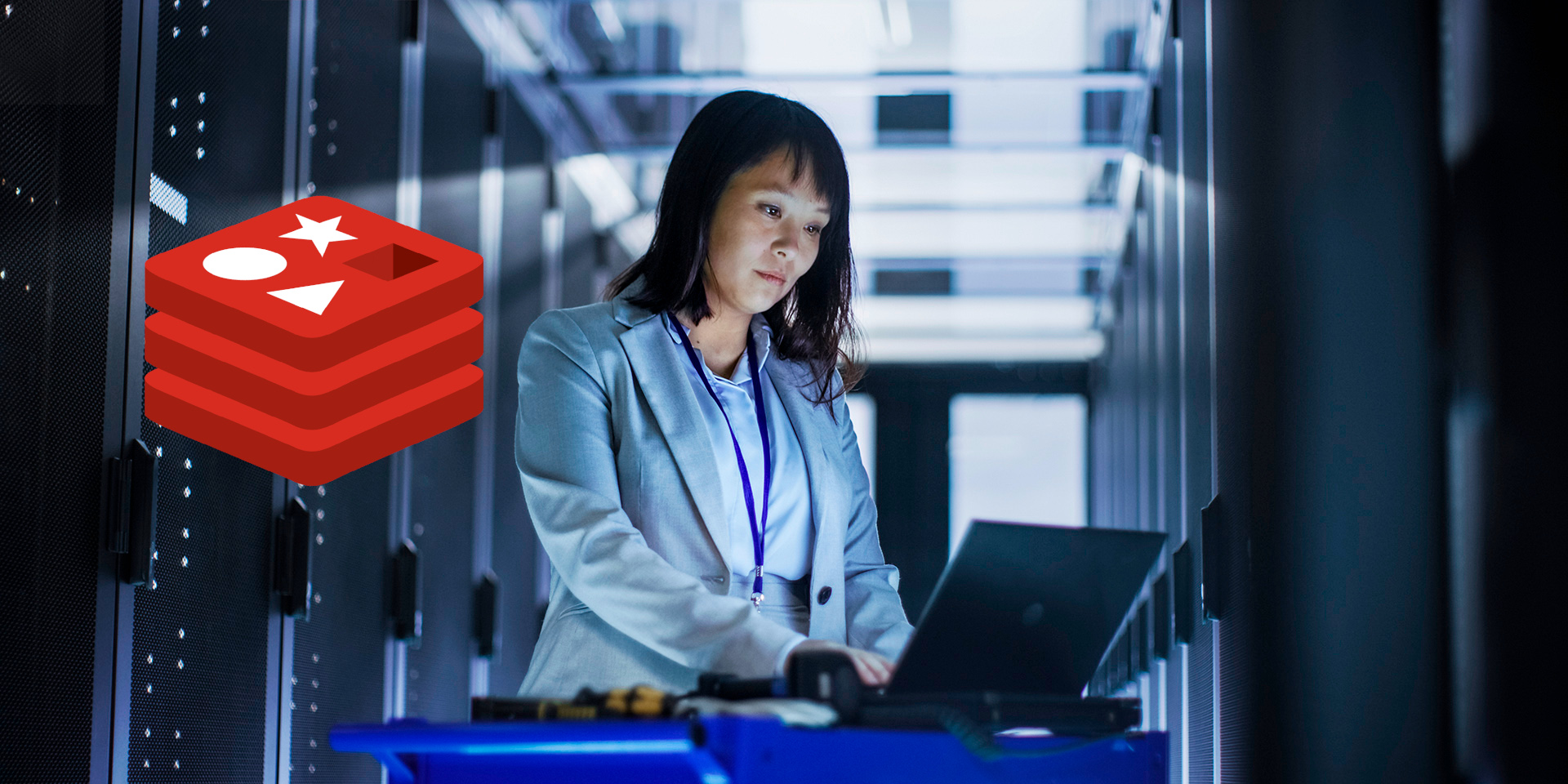 The Complete Beginners Guide for Redis Server and NoSQL DB The Complete Beginners Guide for Redis Server and NoSQL DB