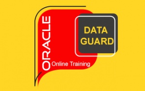 Oracle Data Guard Online Training Oracle Data Guard Online Training