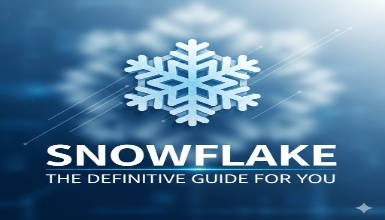SNOWFLAKE: The Definitive GUIDE FOR YOU