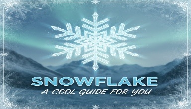 SNOWFLAKE: A COOL GUIDE FOR YOU