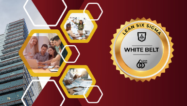 Six Sigma White Belt: Quality Improvement Basics (Hindi)