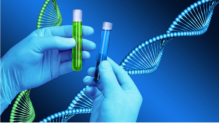 Patent Strategies in Biotechnology Patent Strategies in Biotechnology