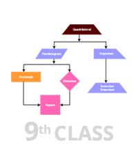 Quadrilaterals Quadrilaterals