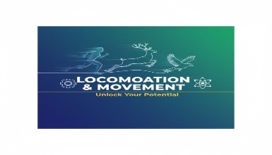 Locomotion and Movement