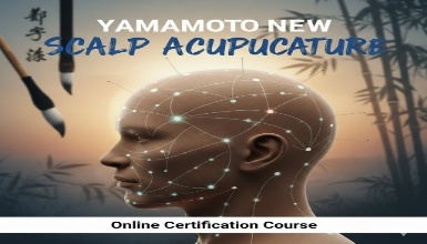 Yamamoto New Scalp Acupuncture