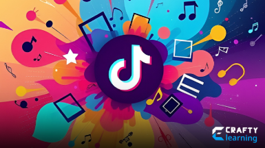 TikTok (Volume 1): Engaging Your Audience on TikTok TikTok (Volume 1): Engaging Your Audience on TikTok