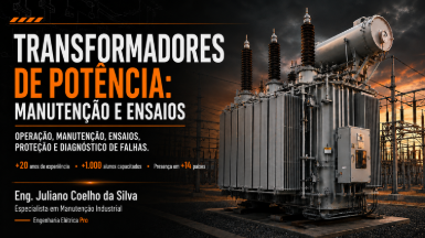 Transformadores de Potência: Manutenção  / Power Transformers