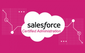 Salesforce Certified Administrator Training