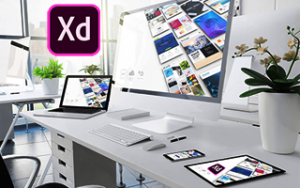 Adobe XD Mobile & Web UI/UX Crash Course Adobe XD Mobile & Web UI/UX Crash Course