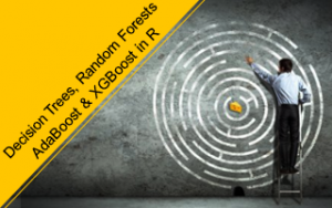 Decision Trees, Random Forests, AdaBoost & XGBoost in R Decision Trees, Random Forests, AdaBoost & XGBoost in R