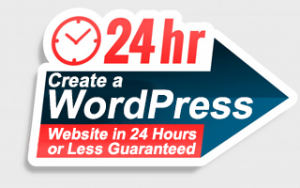Learn To Create A WordPress Website In 24 Hours Learn To Create A WordPress Website In 24 Hours