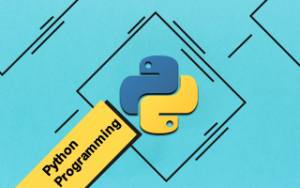 Python Programming Training Course Python Programming Training Course