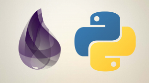 Python and Elixir Programming Bundle Course