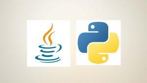 Complete Python and Java Programming Course Complete Python and Java Programming Course